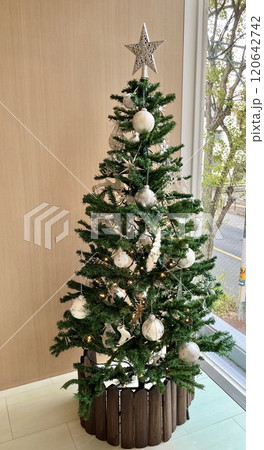 窓辺のシンプルなクリスマスツリー 120642742