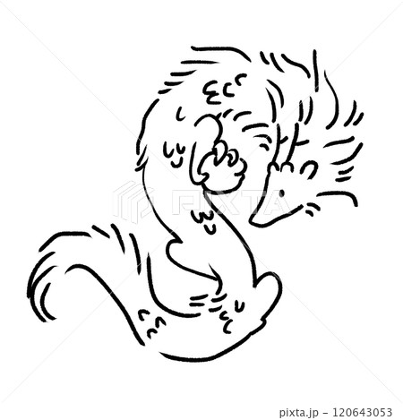 シンプルでかわいい龍のイラスト 120643053