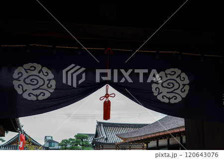 東寺　幔幕越しに見る御影堂の檜皮屋根　 120643076