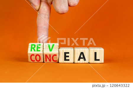 Reveal or conceal symbol. Businessman turns wooden cubes and changes word Conceal to Reveal. Beautiful orange table orange background, copy space. Business reveal or conceal concept. 120643322