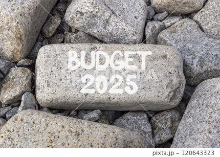 Planning budget 2025 new year symbol. Concept words Budget 2025 on beautiful grey stone. Beautiful grey stones background. Business budget 2025 new year concept. Copy space. 120643323