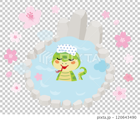 A snake bathing in an open-air bath in spring A snake bathing in an open-air bath in spring 120643490