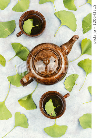 Ginkgo tea with freshen leaf. 120643515
