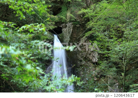 長沢の滝 岩の穴を眺める (高知県 津野町) 長沢の滝 岩の穴を眺める (高知県 津野町) 120643617