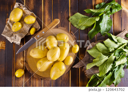 raw young potatoes on a table raw young potatoes on a table 120643702