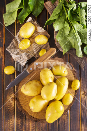 raw young potatoes on a table raw young potatoes on a table 120643703