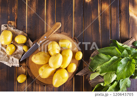 raw young potatoes on a table raw young potatoes on a table 120643705