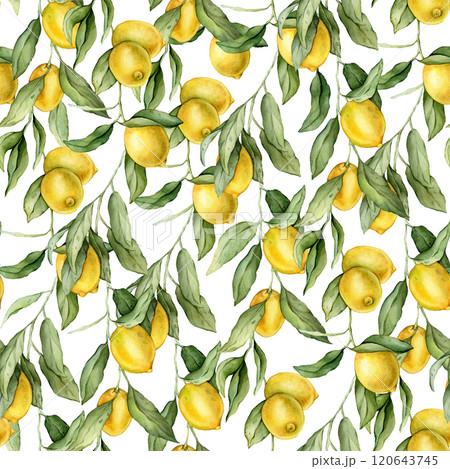 Seamless pattern with watercolor illustration of Lemon or Lime. Hand painted lemon branche with green leaves on white isolated background for juice label or icon. Seamless pattern with watercolor illustration of Lemon or Lime. Hand painted lemon branche with green leaves on white isolated background for juice label or icon. 120643745