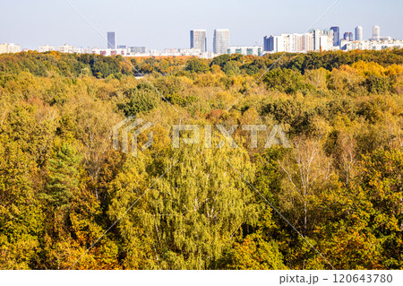 above view of colorful forest in city park 120643780