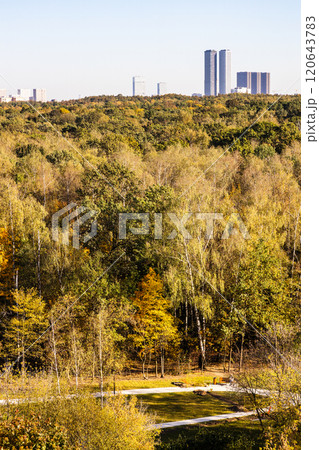city park on autumn day with high-rise houses 120643783