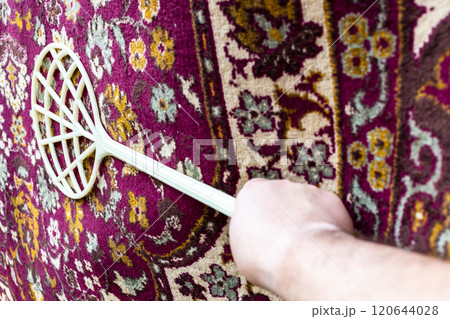 beater shakes dust out of vintage purple carpet 120644028
