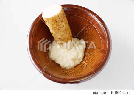 山芋　長いも 120644159