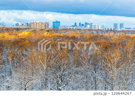 snow-covered city park after the first snow 120644267