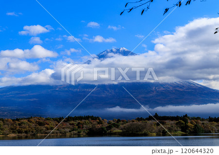 2024年錦秋の静岡田貫湖周辺の風景　雲を纏った霊峰富士と水面に映る空　近景の葉と富士の山頂 120644320