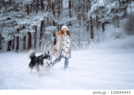 Happy woman walking her dog in the winter and both explore the snow together in playful mood. Happy woman walking her dog in the winter and both explore the snow together in playful mood. 120644443