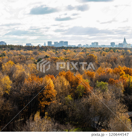 gray cloudy sky over colorful city park in autumn 120644547