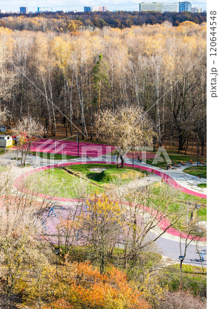aerial view of sport playground in colorful forest 120644548
