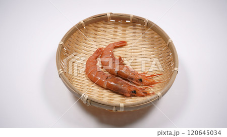 海老 120645034