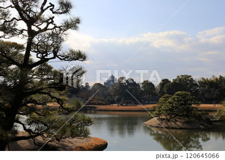 沢の池越しの岡山城【岡山・後楽園】 沢の池越しの岡山城【岡山・後楽園】 120645066