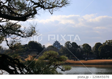 沢の池越しの岡山城【岡山・後楽園】 120645070
