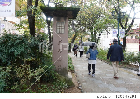 宝塚花のみち 120645291