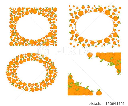 mandarin orange oval frame set. Simple illustration of a citrus and cross section. Seasonal fruit decoration. Vector, graphic logo text material. 120645361