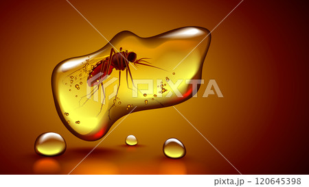Amber with insect mosquito inside. Fossil ancient orange stone amber with bug frozen inside. Fossil mosquito in sunstone resin. Realistic vector illustration ancient translucent mineral. Archaeology. Amber with insect mosquito inside. Fossil ancient orange stone amber with bug frozen inside. Fossil mosquito in sunstone resin. Realistic vector illustration ancient translucent mineral. Archaeology. 120645398
