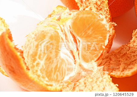 みかん（西宇和みかん） 120645529