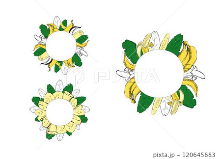 Banana fruit border circle round frame set. Vector Graphic cartoon illustration isolated on transparent background. Bananas pictures for labels, prints, banners, tropical wedding invitation 120645683