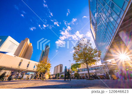 日本の横浜都市景観 11月。夕日を浴びる桜木町駅前や横浜市役所などを望む…。新時代に希望の光＝24日 120646623
