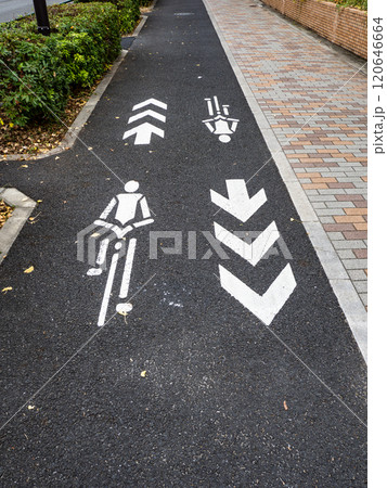 自転車が通行できる歩道に設置された「自転車ナビマーク」 自転車が通行できる歩道に設置された「自転車ナビマーク」 120646664