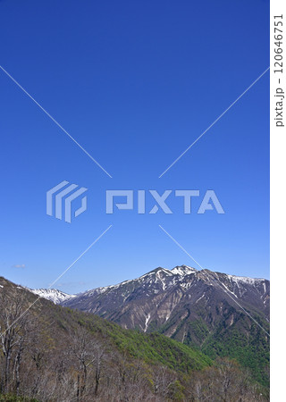 谷川岳から見える山々 谷川岳から見える山々 120646751