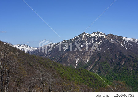 谷川岳から見える山々 谷川岳から見える山々 120646753