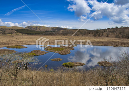 【長野県】八島ヶ原湿原 【長野県】八島ヶ原湿原 120647325