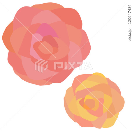 バラの花 装飾 ベクター素材 120647484