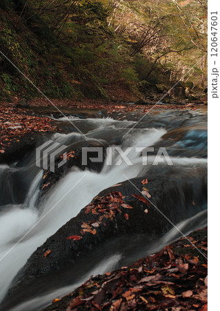 福島県西郷村　西の郷遊歩道脇の阿武隈川　秋の景観 120647601