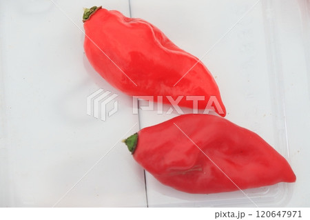 ハバネロ　激辛の唐辛子 120647971