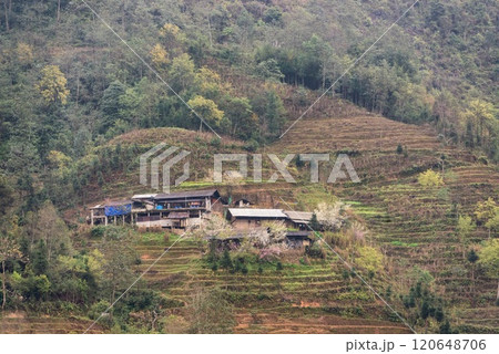 Spring landscape in Ha Giang - Northern mountainous province of Vietnam Spring landscape in Ha Giang - Northern mountainous province of Vietnam 120648706