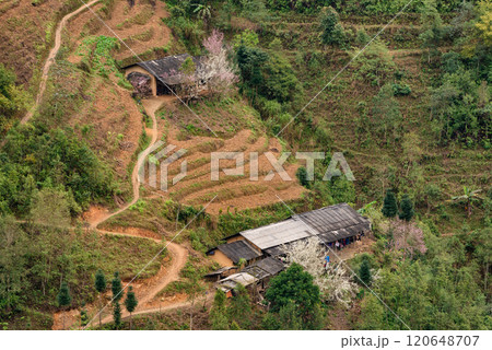 Spring landscape in Ha Giang - Northern mountainous province of Vietnam 120648707