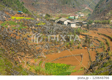 Spring landscape in Ha Giang - Northern mountainous province of Vietnam 120648766
