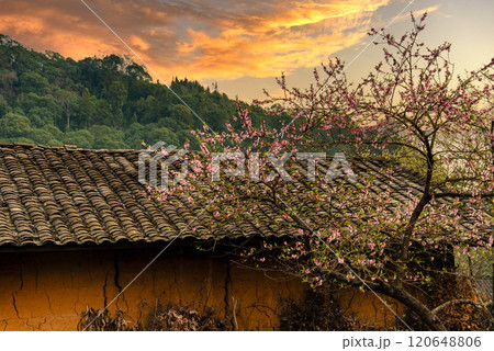 Spring landscape in Ha Giang - Northern mountainous province of Vietnam Spring landscape in Ha Giang - Northern mountainous province of Vietnam 120648806