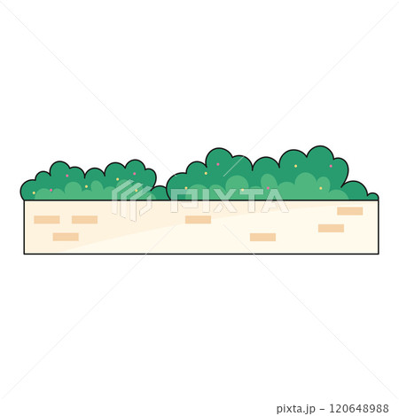 Decorative planter with green bushes, Vector Decorative planter with green bushes, Vector 120648988