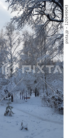 Winter park in the snow 120649043
