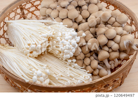 ザルに入っているきのこ しめじとえのきの盛り合わせ ザルに入っているきのこ しめじとえのきの盛り合わせ 120649497