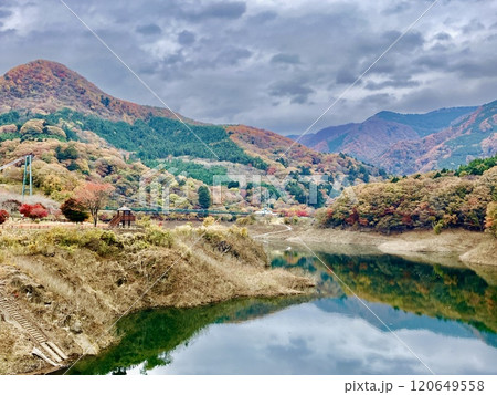 もみじ谷大吊橋の鮮やかな紅葉 もみじ谷大吊橋の鮮やかな紅葉 120649558