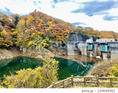 もみじ谷大吊橋の鮮やかな紅葉 もみじ谷大吊橋の鮮やかな紅葉 120649562