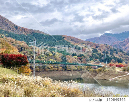 もみじ谷大吊橋の鮮やかな紅葉 120649563