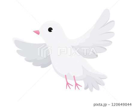 手品で飛び出す白い鳩のイラスト 120649844