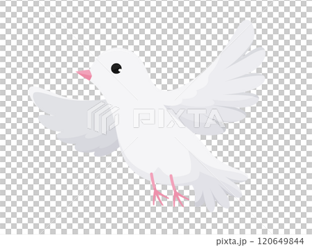 一隻白鴿用魔術飛出去的插圖 120649844