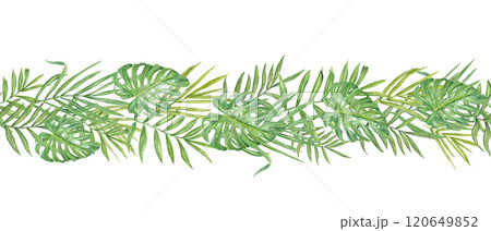 Watercolor tropical green leaves horizontal seamless banner. Hand painted palm, Areca, Cycas and monstera foliage pattern for textile, holiday package, kitchen canvas, wall art, decorative Watercolor tropical green leaves horizontal seamless banner. Hand painted palm, Areca, Cycas and monstera foliage pattern for textile, holiday package, kitchen canvas, wall art, decorative 120649852